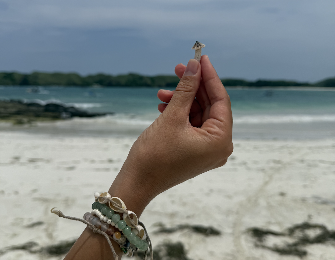 Vrouw met uitgestoken hand op het strand tijdens truffelceremonie in Noord-Holland nabij 't Zand en Den Helder