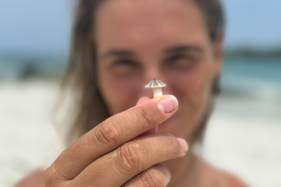 Vrouw toont een truffel tijdens truffelreis in Noord-Holland, omgeving Den Helder en 't Zand