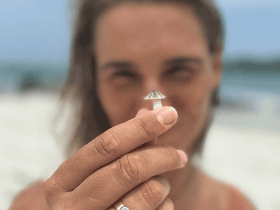 Vrouw toont een truffel tijdens truffelreis in Noord-Holland, omgeving Den Helder en 't Zand